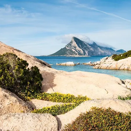 Terradimare Resort&spa فندق