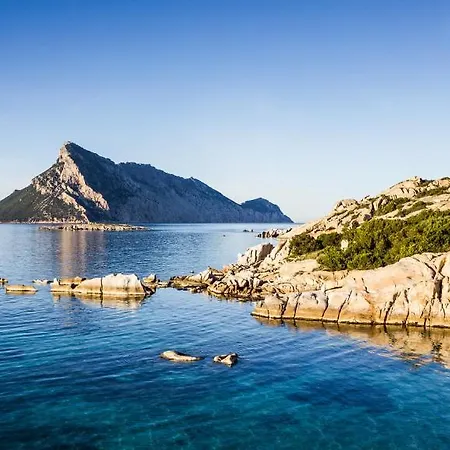 Hotel Terradimare Resort&spa San Teodoro (Sardinia)