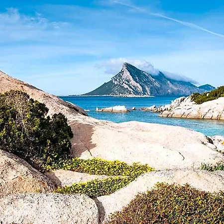 Hotel Terradimare Resort&spa San Teodoro (Sardinia)