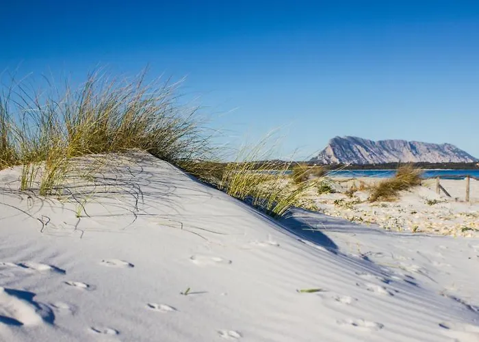 Terradimare Resort&spa 4* サン・テオドーロ